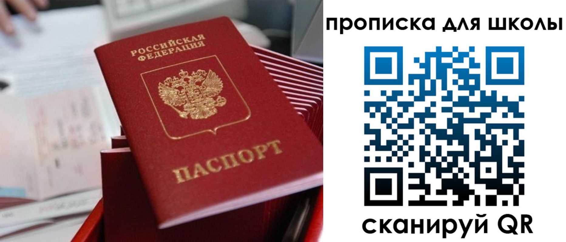 прописка для школы в Почепе